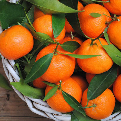 Foto - Çöpe atan pişman olur! Kabuktaki 12 muhteşem fayda