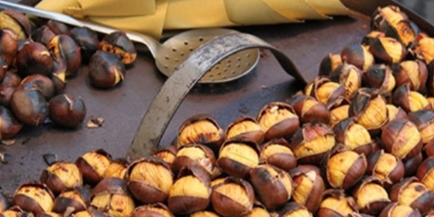 Foto - Çöpe atan pişman olur! Şifası kabuğunda saklı