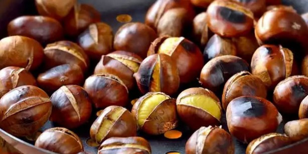 Çöpe atan pişman olur! Şifası kabuğunda saklı