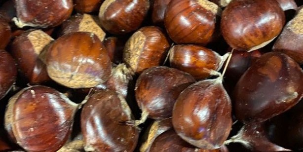 Foto - Çöpe atan pişman olur! Şifası kabuğunda saklı