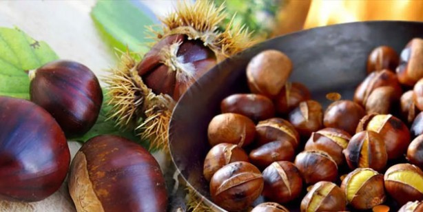 Foto - Çöpe atan pişman olur! Şifası kabuğunda saklı