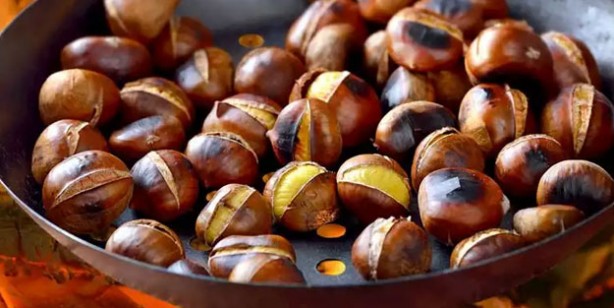 Foto - Çöpe atan pişman olur! Şifası kabuğunda saklı