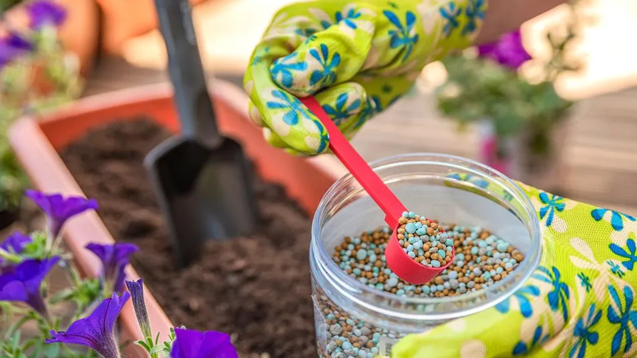 Foto - Çöpe atanlar çok üzülecek! Bakın mandalina kabuğundan ne yapılıyor