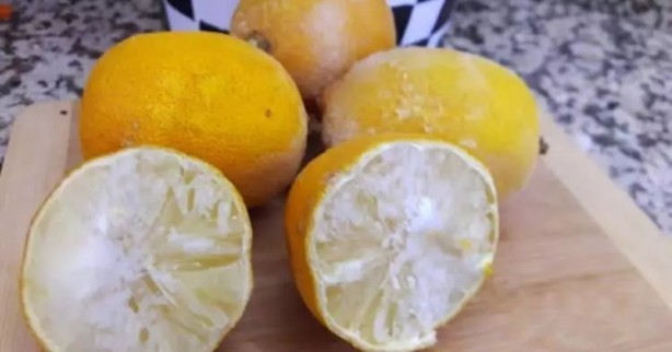 Foto - Çöpe atarken bir kez daha düşünün! Donmuş limonun inanılmaz faydası