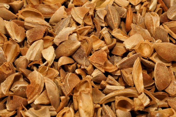 Foto - Çöpe atıyoruz ama 12 milyon liralık geliri var!