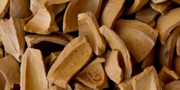 Foto - Çöpe atıyoruz ama 12 milyon liralık geliri var!