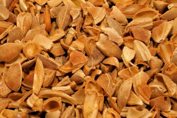 Foto - Çöpe atıyoruz ama 12 milyon liralık geliri var!