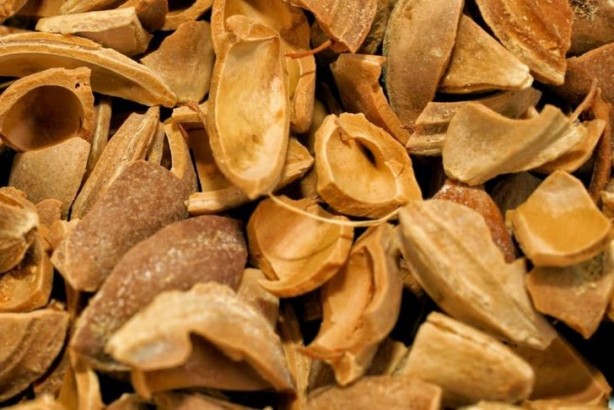 Foto - Çöpe atıyoruz ama 12 milyon liralık geliri var!