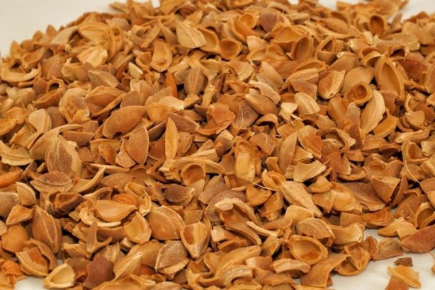 Foto - Çöpe atıyoruz ama 12 milyon liralık geliri var!