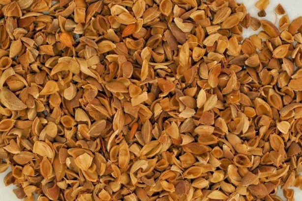 Foto - Çöpe atıyoruz ama 12 milyon liralık geliri var!