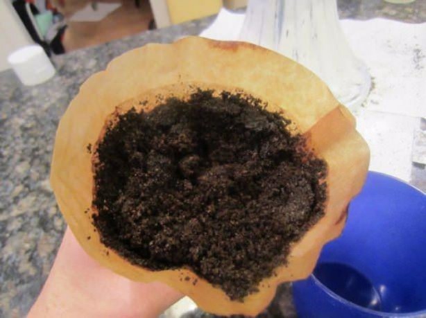 Foto - Çöpe attığınıza pişman olacaksınız