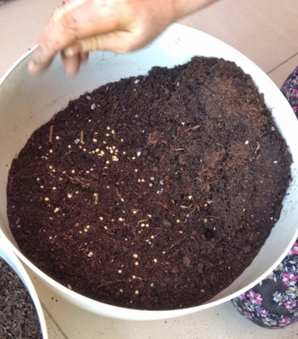 Foto - Çöpe attığınıza pişman olacaksınız