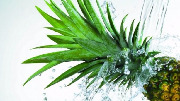 Foto - Çöpe attığınıza pişman olacaksınız