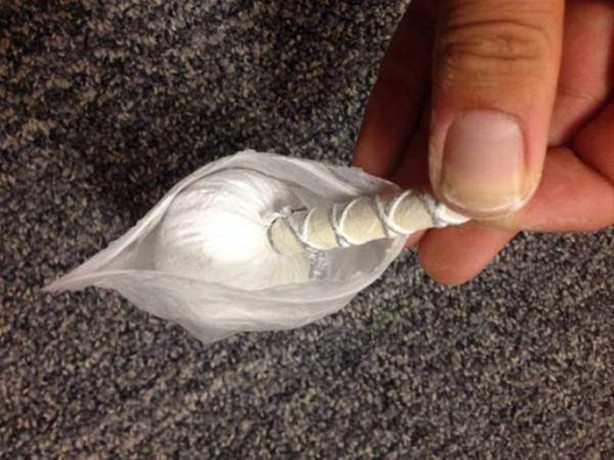 Foto - Çöpte bulduğu kutudan bakın ne çıktı!