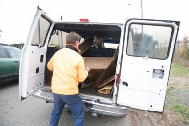 Foto - Çöpten ev buldu 