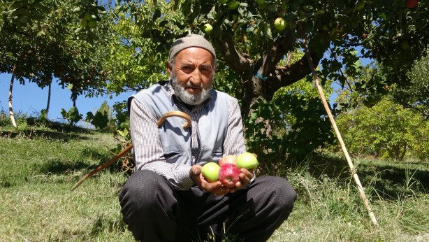 Foto - Çorak araziye ekim yaptı! Aldığı sonuç karşısında şaşkına döndü