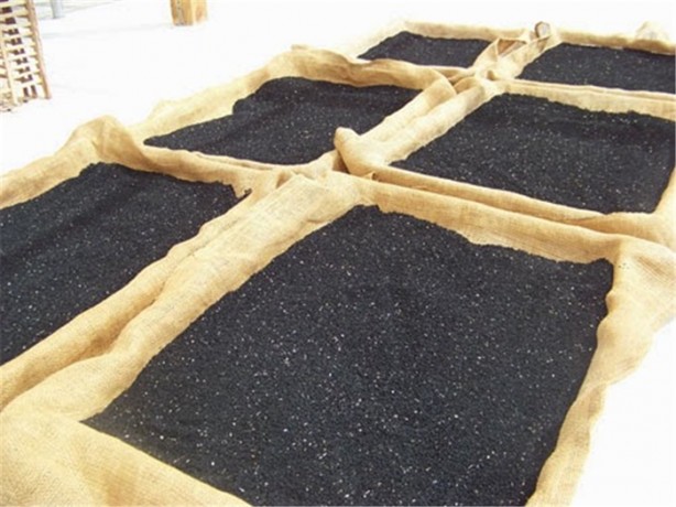 Foto - Çörek otunun mucizevi yararları