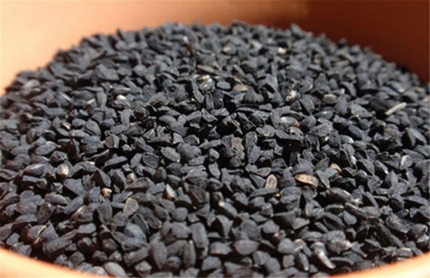 Foto - Çörekotu yağı hakkında yanlış bilinenler