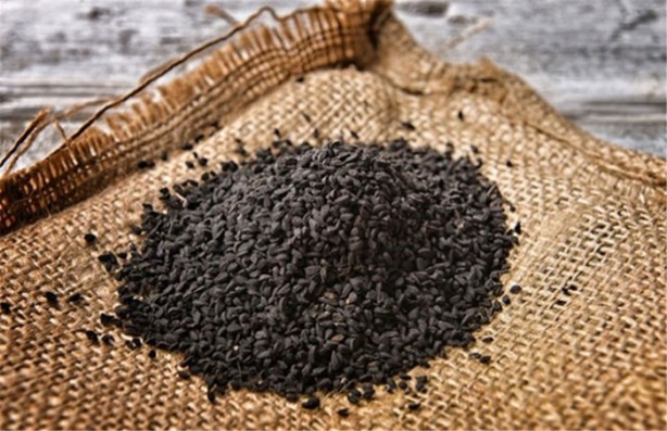 Foto - Çörekotu yağı hakkında yanlış bilinenler