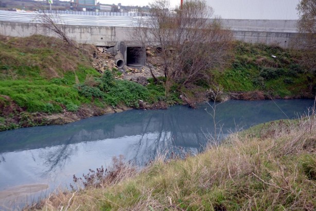 Foto - Çorlu Deresi, kirlilikten dolayı griye boyandı