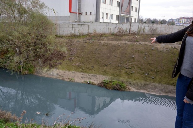 Foto - Çorlu Deresi, kirlilikten dolayı griye boyandı