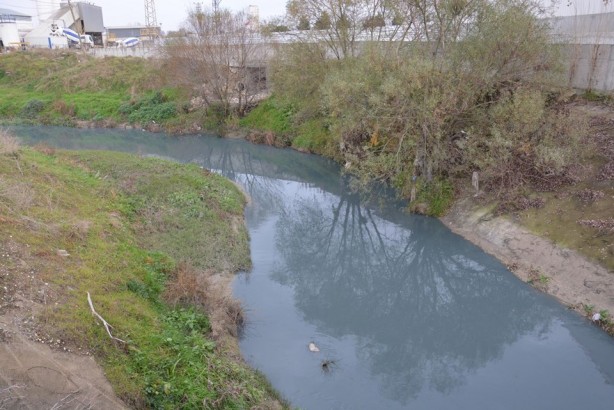 Foto - Çorlu Deresi, kirlilikten dolayı griye boyandı