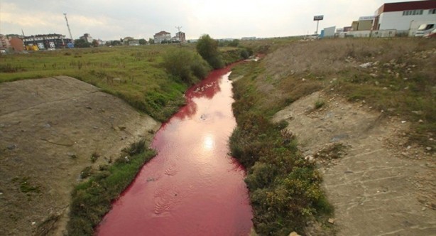 Foto - Çorlu Deresi, kirlilikten dolayı griye boyandı