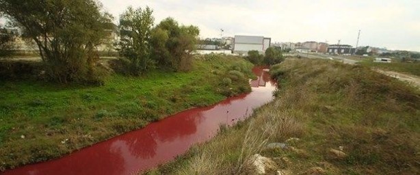 Foto - Çorlu Deresi, kirlilikten dolayı griye boyandı