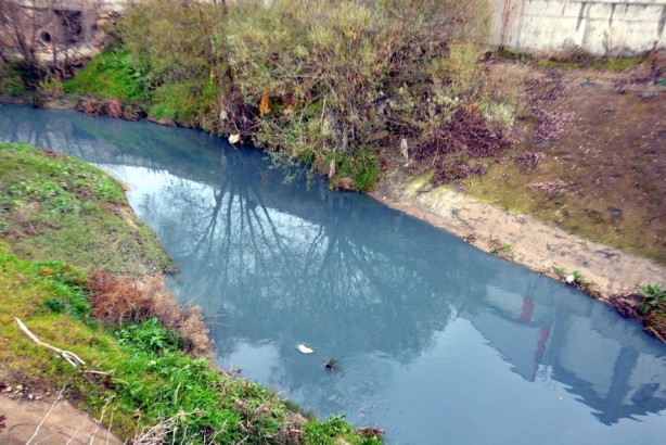 Foto - Çorlu Deresi, kirlilikten dolayı griye boyandı