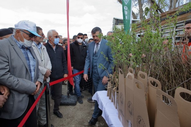 Foto - Çorum'da çiftçilere 22 bin badem ve mahlep fidanı dağıtıldı