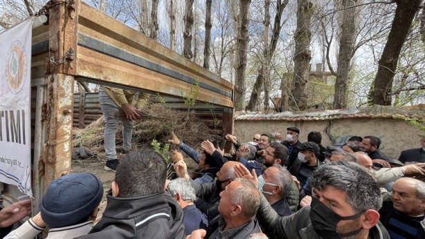 Foto - Çorum'da çiftçilere 22 bin badem ve mahlep fidanı dağıtıldı