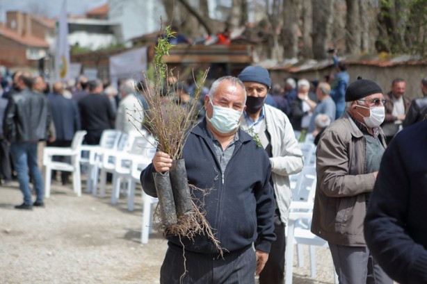 Foto - Çorum'da çiftçilere 22 bin badem ve mahlep fidanı dağıtıldı