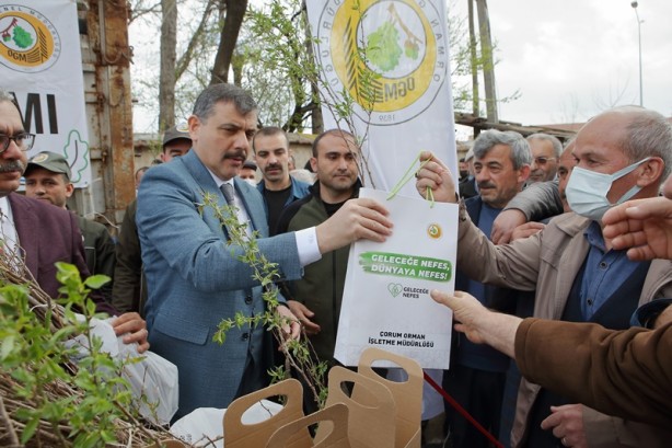 Foto - Çorum'da çiftçilere 22 bin badem ve mahlep fidanı dağıtıldı