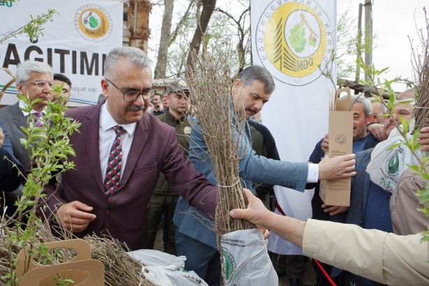 Foto - Çorum'da çiftçilere 22 bin badem ve mahlep fidanı dağıtıldı