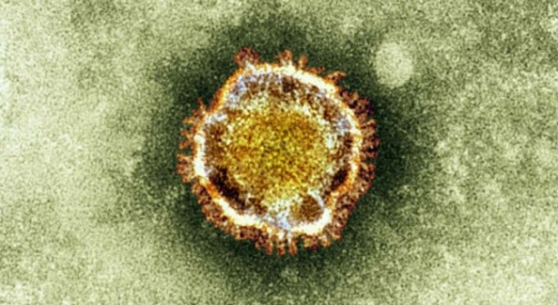 Foto - Covid-19 yeniden gündemde... Bilim dünyası salgınının kökenini tartışıyor 