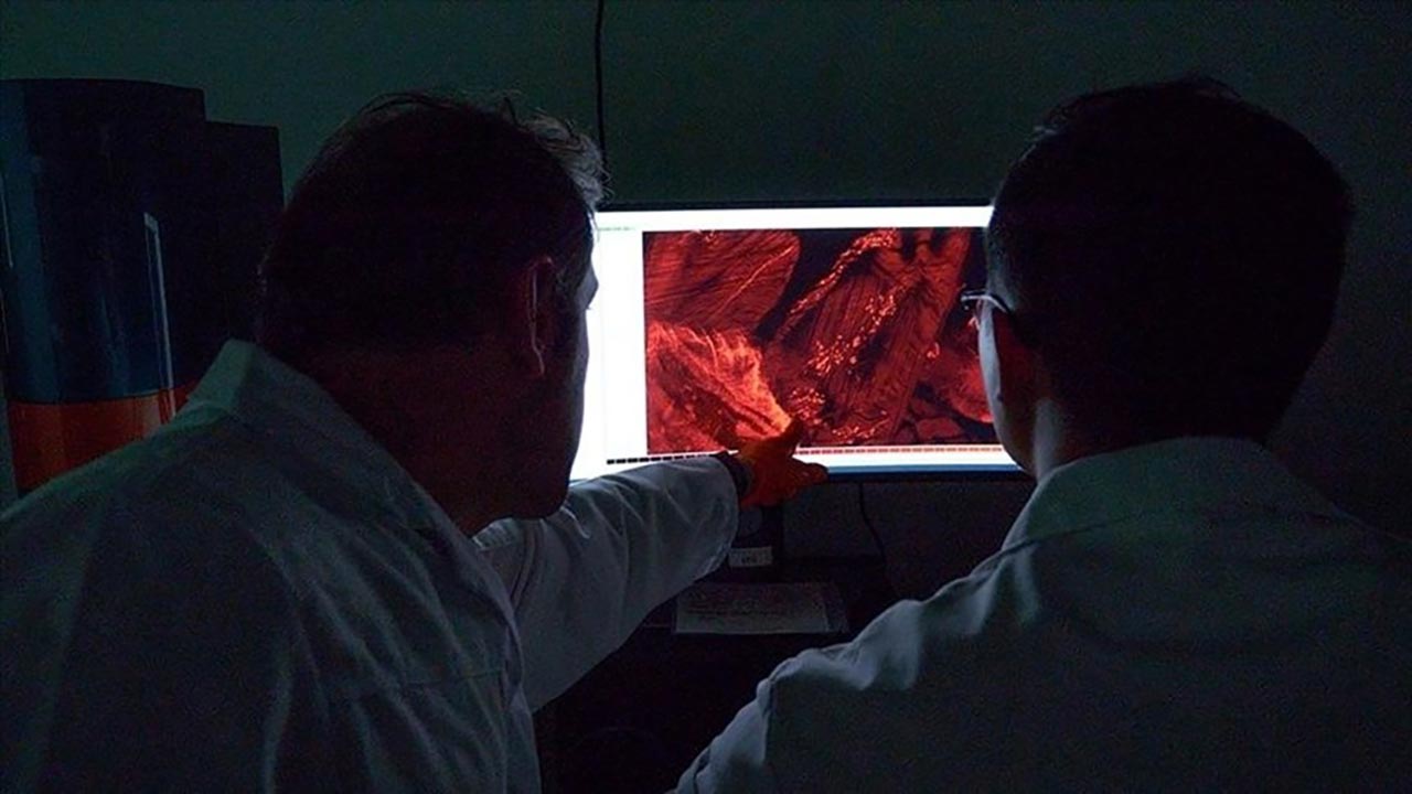 Covid’in beyindeki sinsi izleri ortaya çıktı!