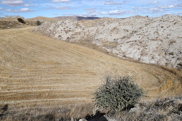 Foto - Çözümü böyle buldular! Oluşan obrukları bakın nasıl değerlendirdiler