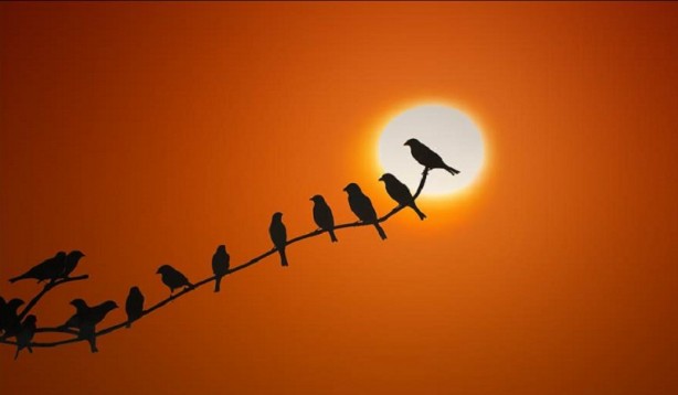 Foto - Cübbeli Ahmet Hoca'nın hanımı çılgına döndü! Tüm herkesi kovdu