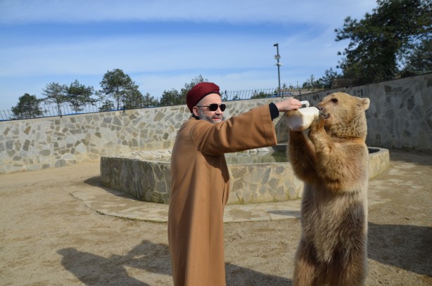 Foto - Cübbeli Ahmet Hoca'yı hiç böyle görmediniz! Elleriyle boz ayı besledi