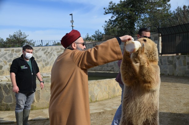 Foto - Cübbeli Ahmet Hoca'yı hiç böyle görmediniz! Elleriyle boz ayı besledi
