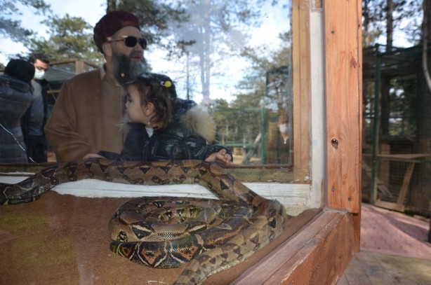 Foto - Cübbeli Ahmet Hoca'yı hiç böyle görmediniz! Elleriyle boz ayı besledi