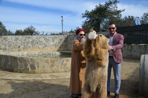Foto - Cübbeli Ahmet Hoca'yı hiç böyle görmediniz! Elleriyle boz ayı besledi