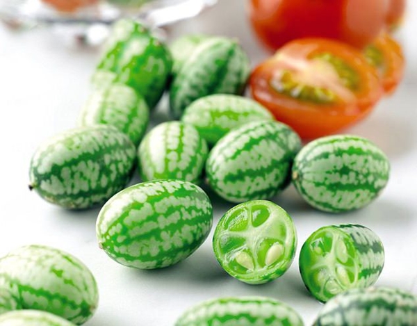 Foto - Cucamelon meyvesinden haberdar mısınız?