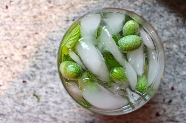 Foto - Cucamelon meyvesinden haberdar mısınız?