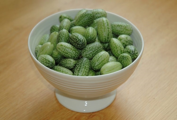 Foto - Cucamelon meyvesinden haberdar mısınız?