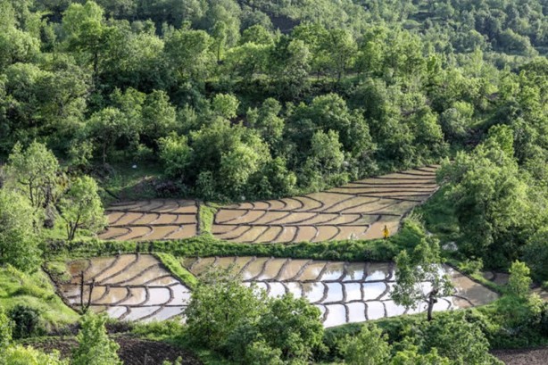 Foto - Çukurca'da "foto safari" heyecanı
