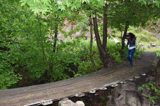Foto - Çukurca'da "foto safari" heyecanı