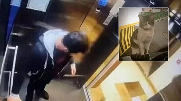 Foto - Cumhurbaşkanı Erdoğan'dan Adalet Bakanı’na gece yarısı telefonu: Nasıl olur böyle bir şey