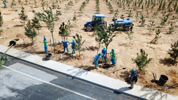 Foto - Cumhurbaşkanı Erdoğan’ın açıklaması sonrası talimat verildi! Başakşehir Şehir Hastanesi çam ve sakura ile donatıldı