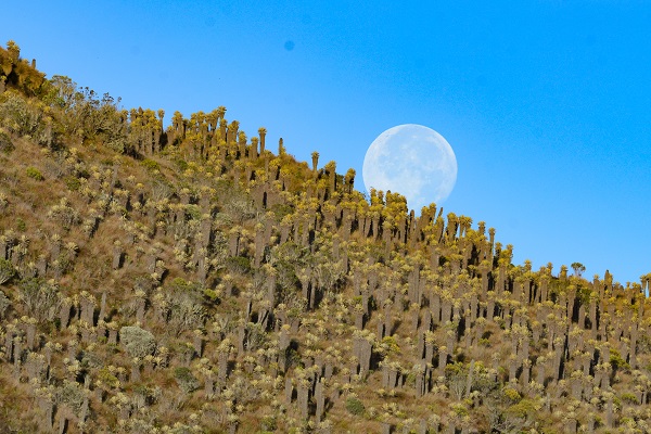 Foto - Cumhurbaşkanı talimat verdi! 25 bin kişi ölmüştü o bölge boşaltılıyor
